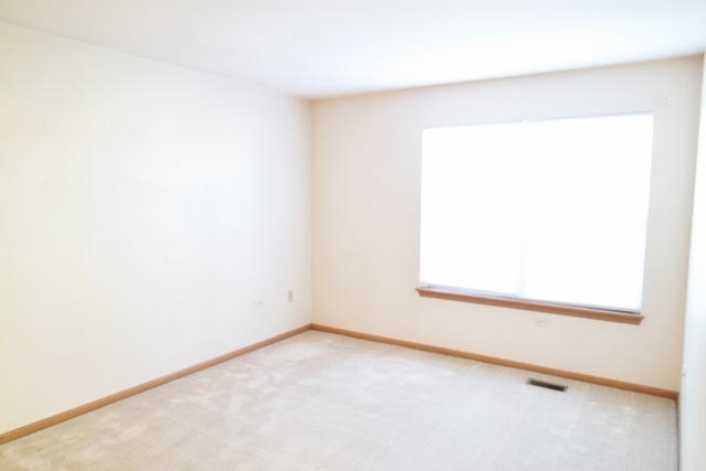 2419 Sheehan Drive, Unit 101 Naperville, IL 60564 - Photo 15 of 18