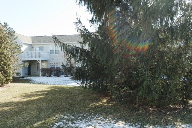 2419 Sheehan Drive, Unit 101 Naperville, IL 60564 - Photo 18 of 18