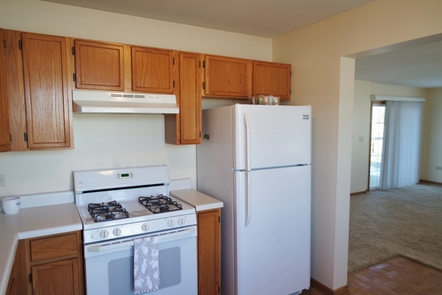 2419 Sheehan Drive, Unit 101 Naperville, IL 60564 - Photo 5 of 18