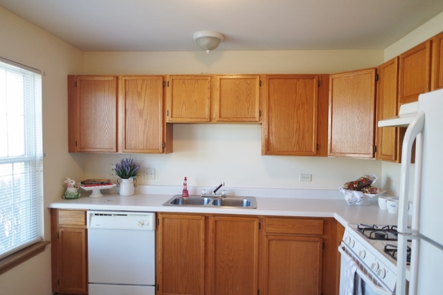 2419 Sheehan Drive, Unit 101 Naperville, IL 60564 - Photo 6 of 18