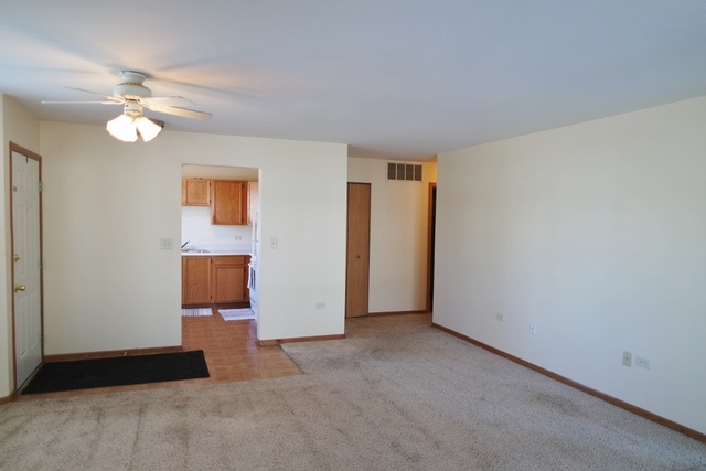 2419 Sheehan Drive, Unit 101 Naperville, IL 60564 - Photo 9 of 18