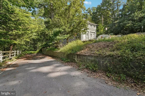 a view of a yard with plants and trees