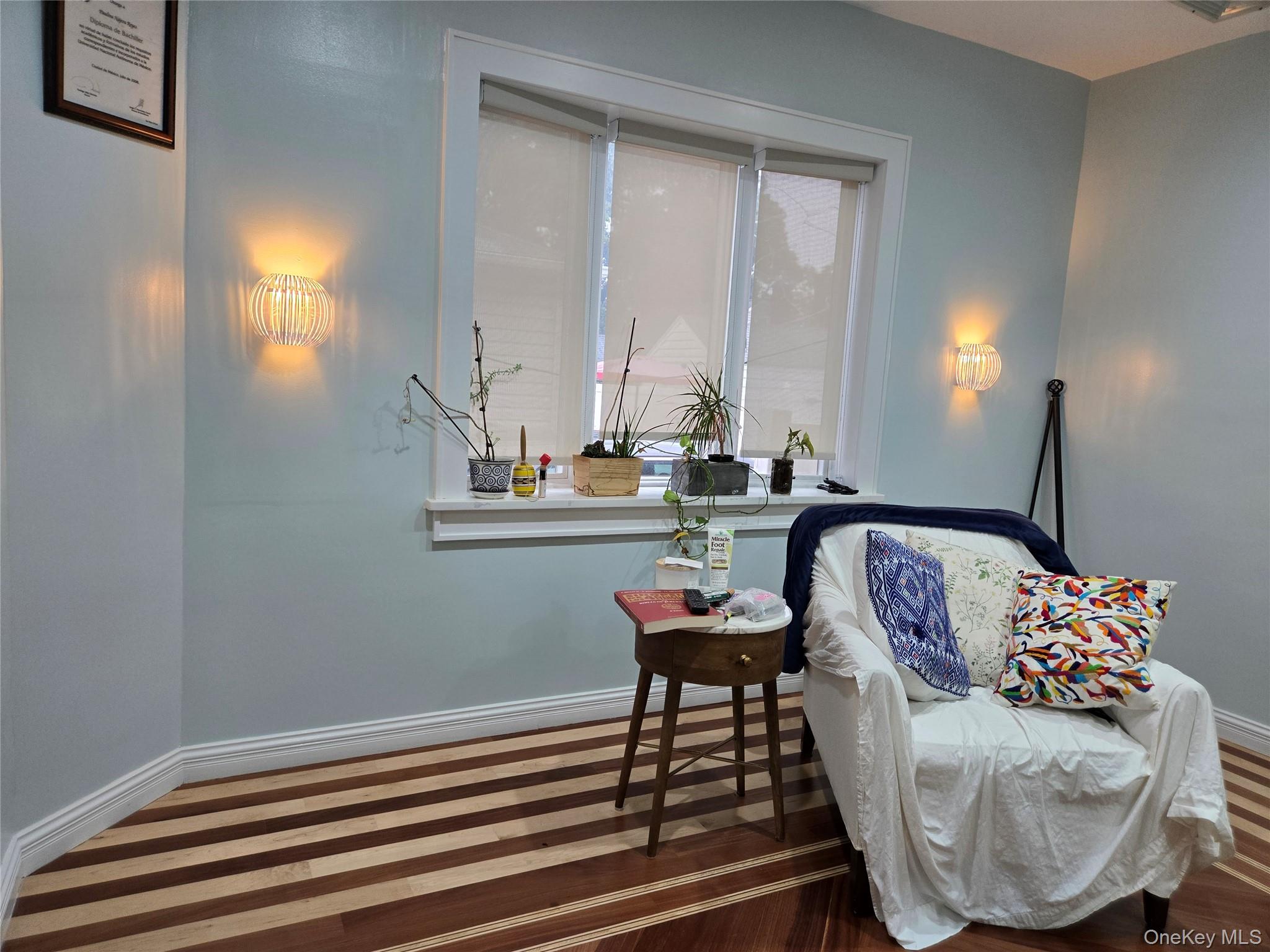 183 North Cottage Street Valley Stream, NY 11580 - Photo 14 of 16