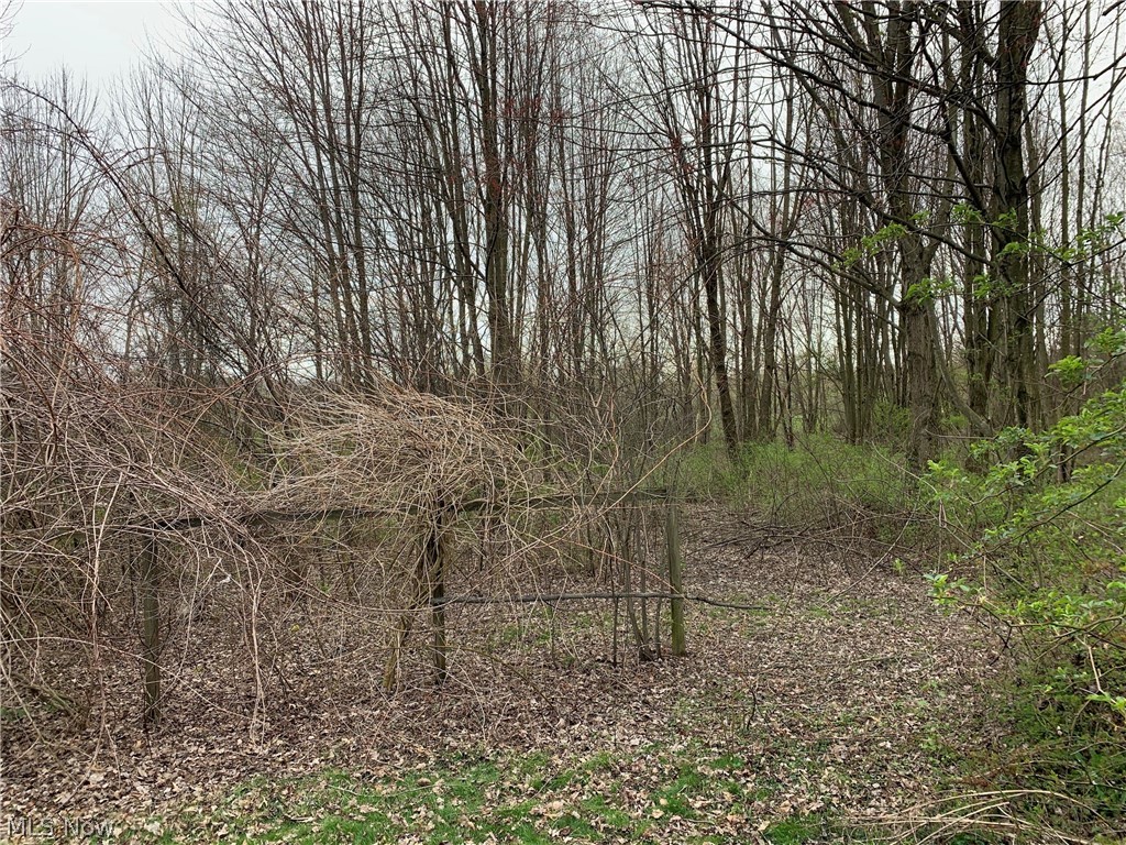 4400 Mayfair Road Uniontown, OH 44685 - Photo 8 of 12 Gallery Image 8