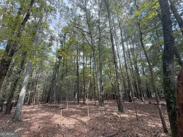 $232,000 | 9992 Jefferson River Road, Athens, GA 30607