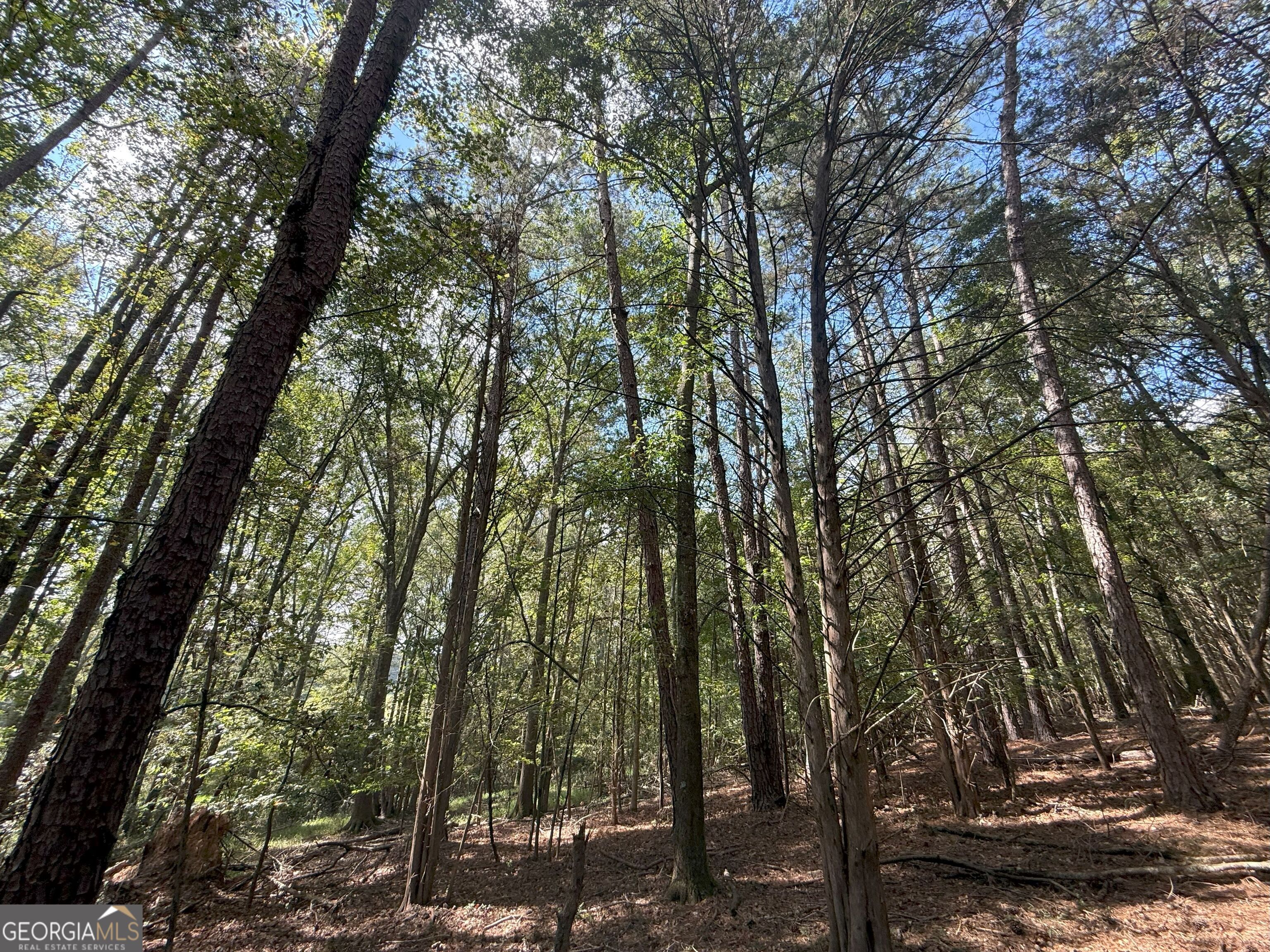 9992 Jefferson River Road Athens, GA 30607 - Photo 11 of 24