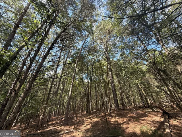 $232,000 | 9992 Jefferson River Road, Athens, GA 30607