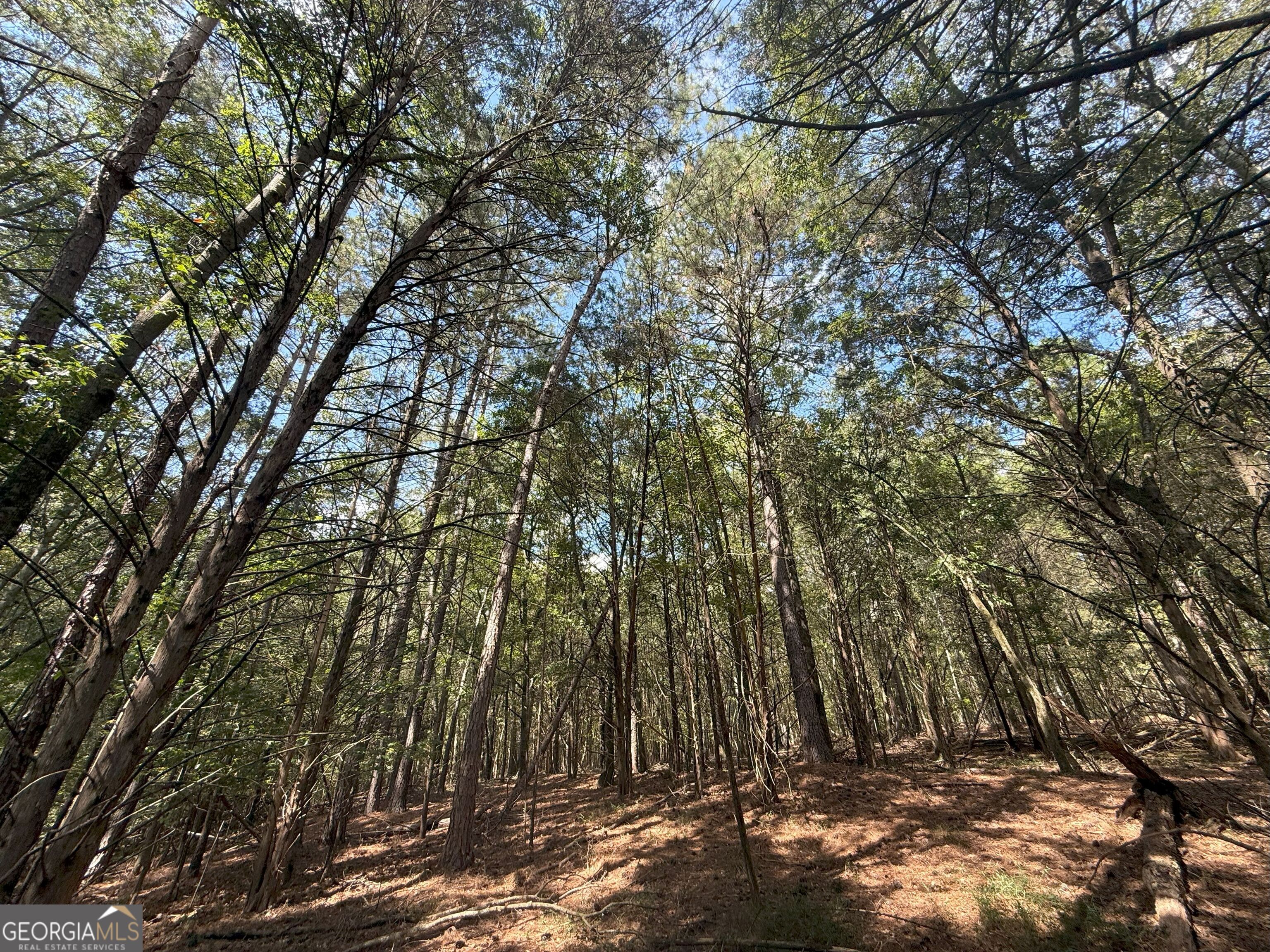 9992 Jefferson River Road Athens, GA 30607 - Photo 12 of 24