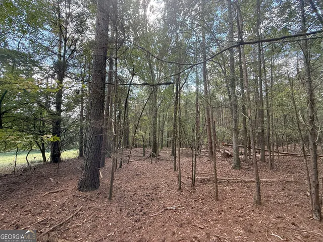 $232,000 | 9992 Jefferson River Road, Athens, GA 30607