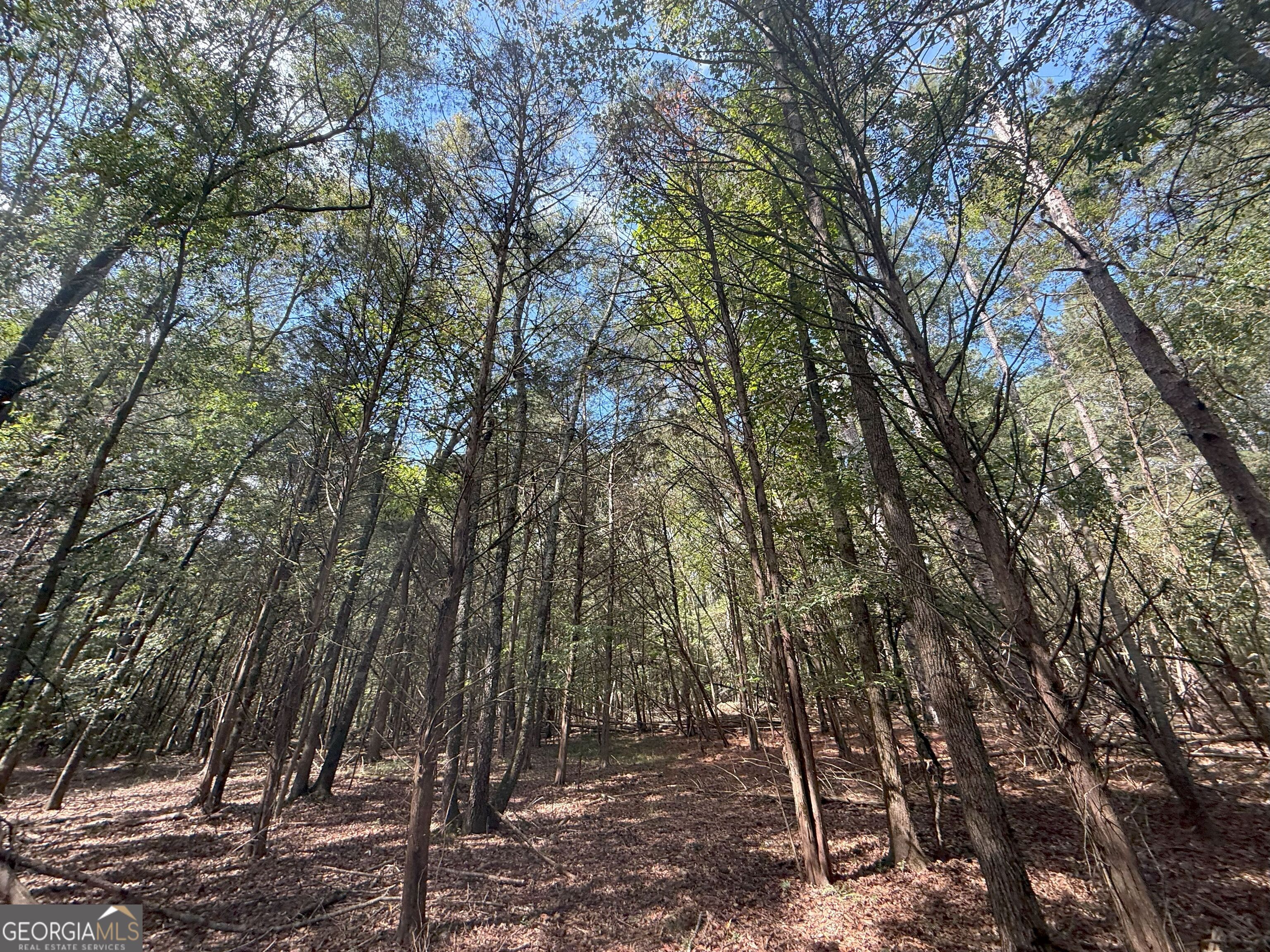 9992 Jefferson River Road Athens, GA 30607 - Photo 14 of 24