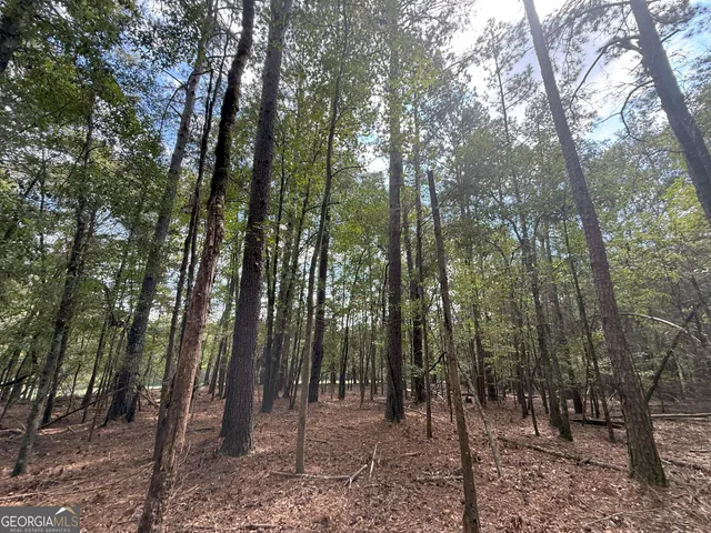 $232,000 | 9992 Jefferson River Road, Athens, GA 30607