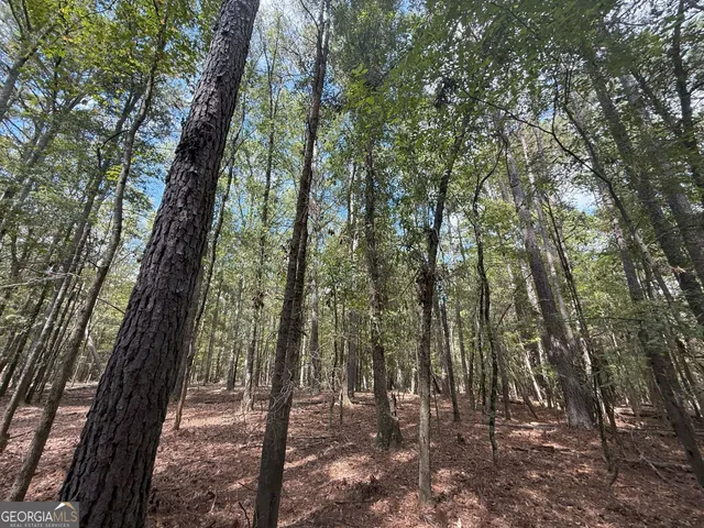 $232,000 | 9992 Jefferson River Road, Athens, GA 30607