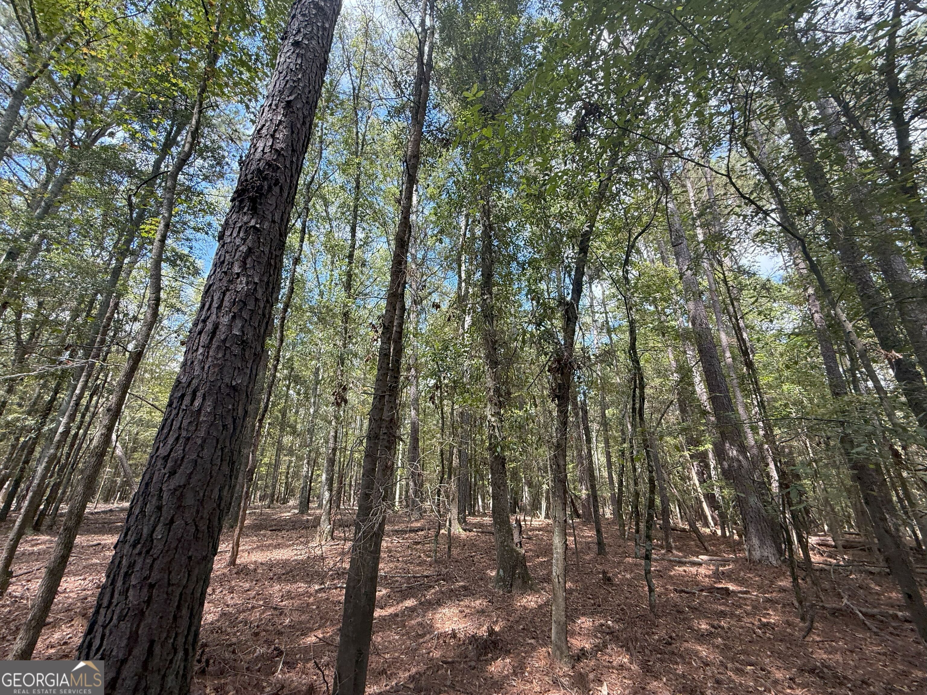 9992 Jefferson River Road Athens, GA 30607 - Photo 16 of 24