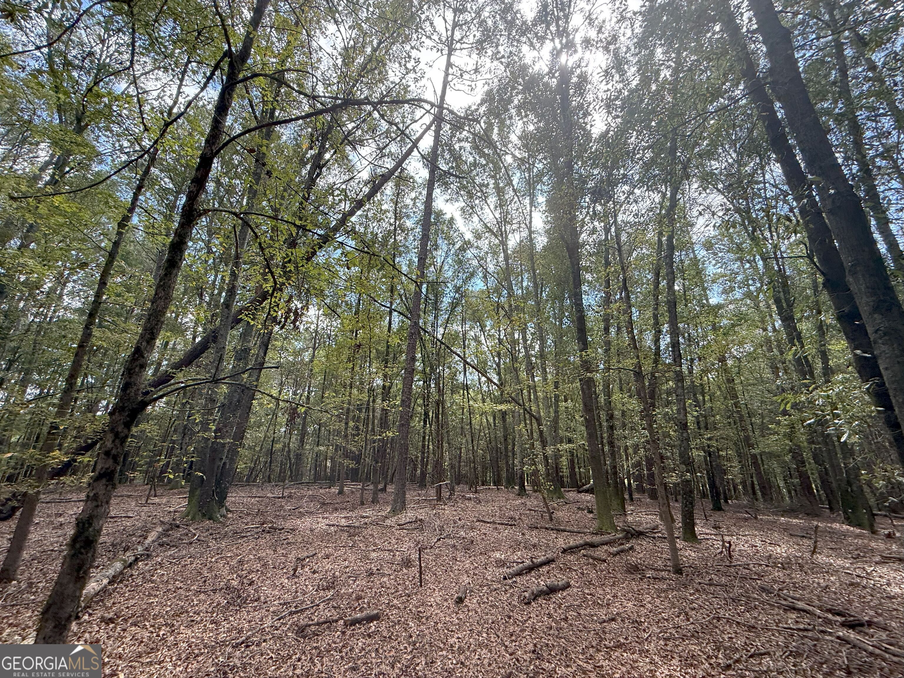 9992 Jefferson River Road Athens, GA 30607 - Photo 20 of 24