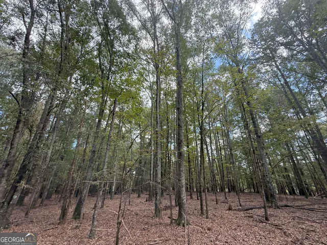 $232,000 | 9992 Jefferson River Road, Athens, GA 30607