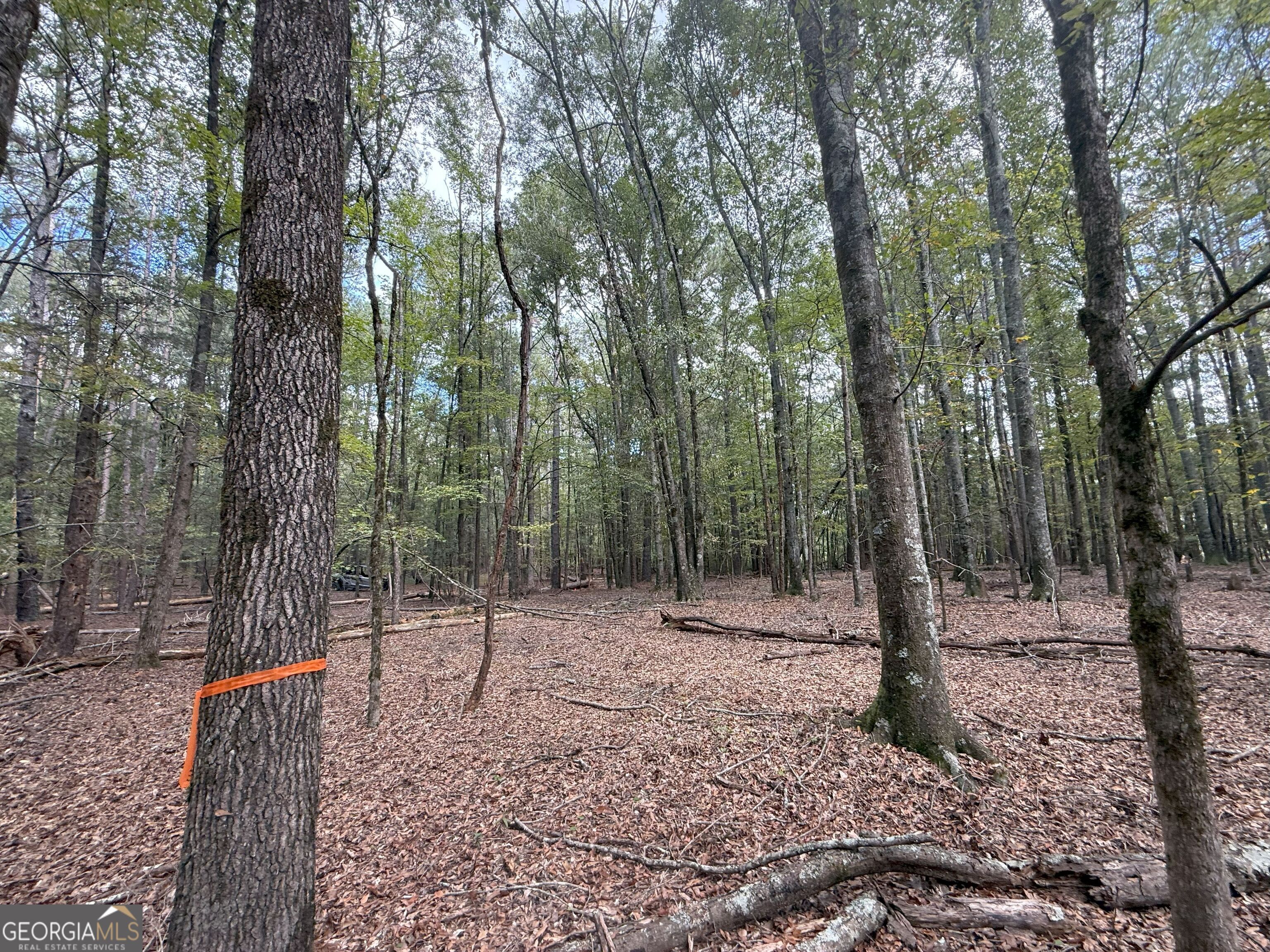 9992 Jefferson River Road Athens, GA 30607 - Photo 21 of 24