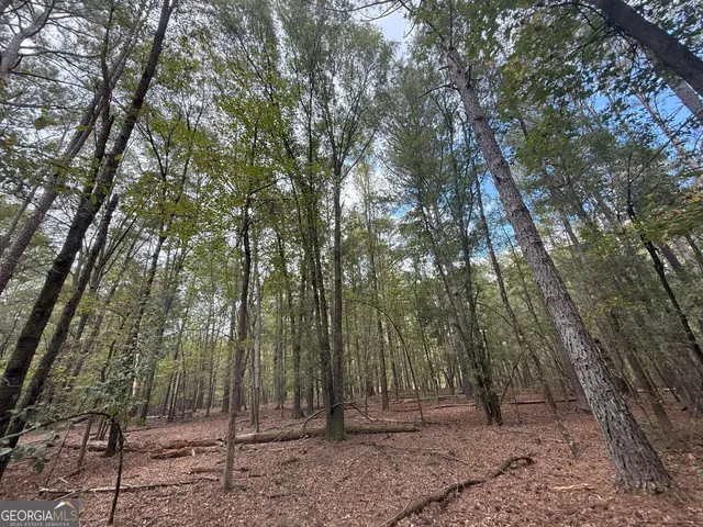 $232,000 | 9992 Jefferson River Road, Athens, GA 30607