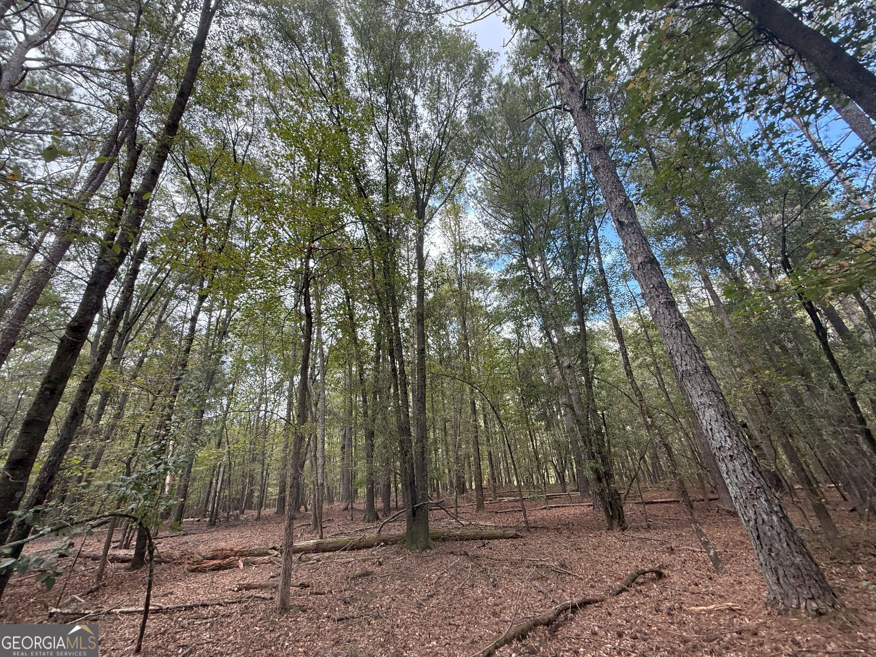 9992 Jefferson River Road Athens, GA 30607 - Photo 3 of 24