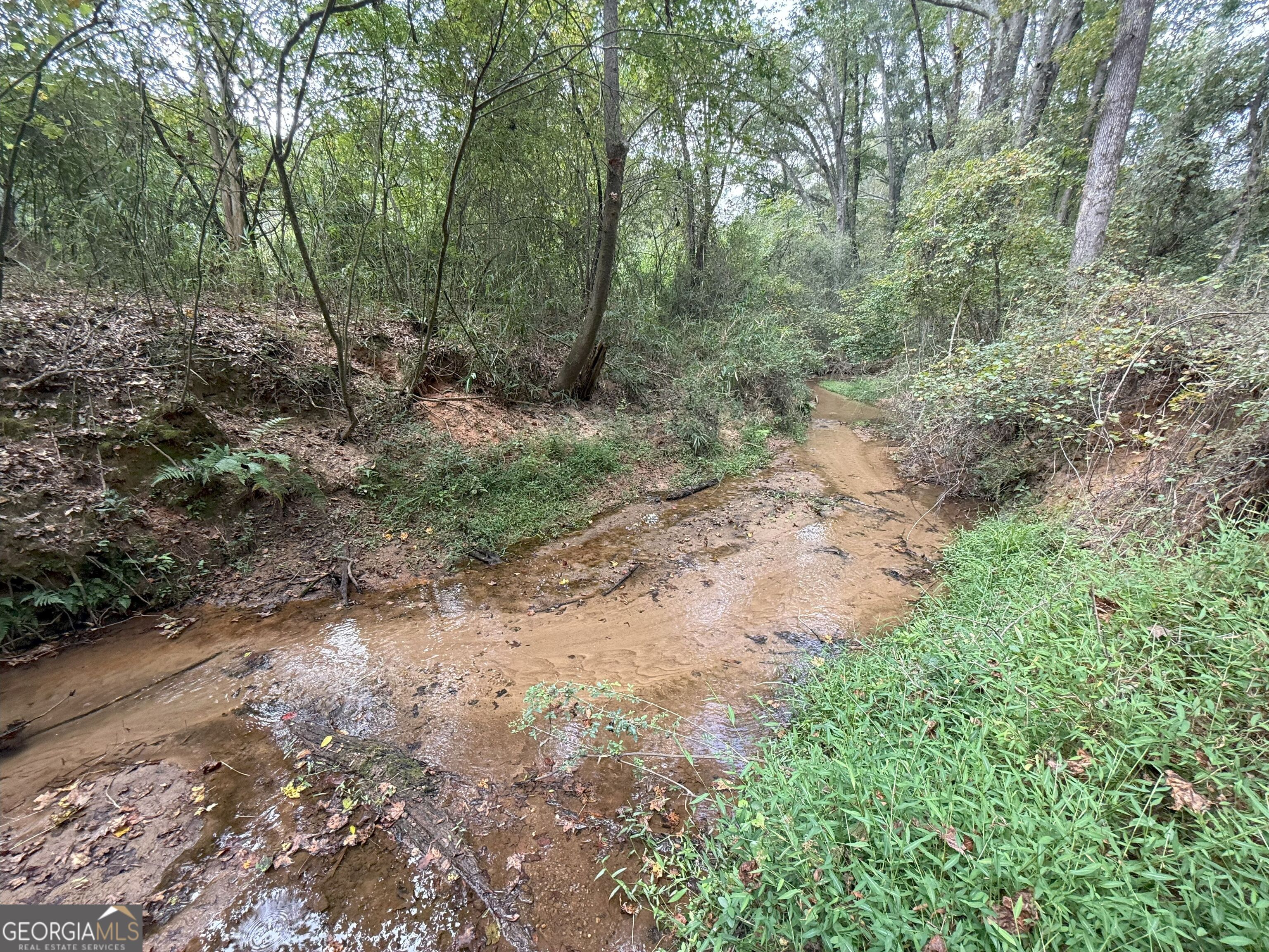 9992 Jefferson River Road Athens, GA 30607 - Photo 6 of 24
