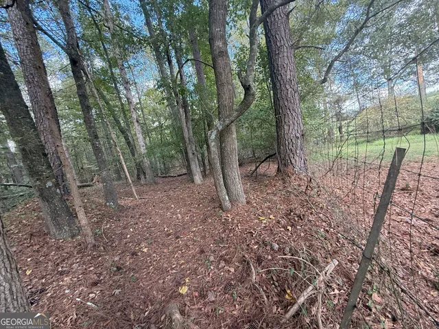 $232,000 | 9992 Jefferson River Road, Athens, GA 30607