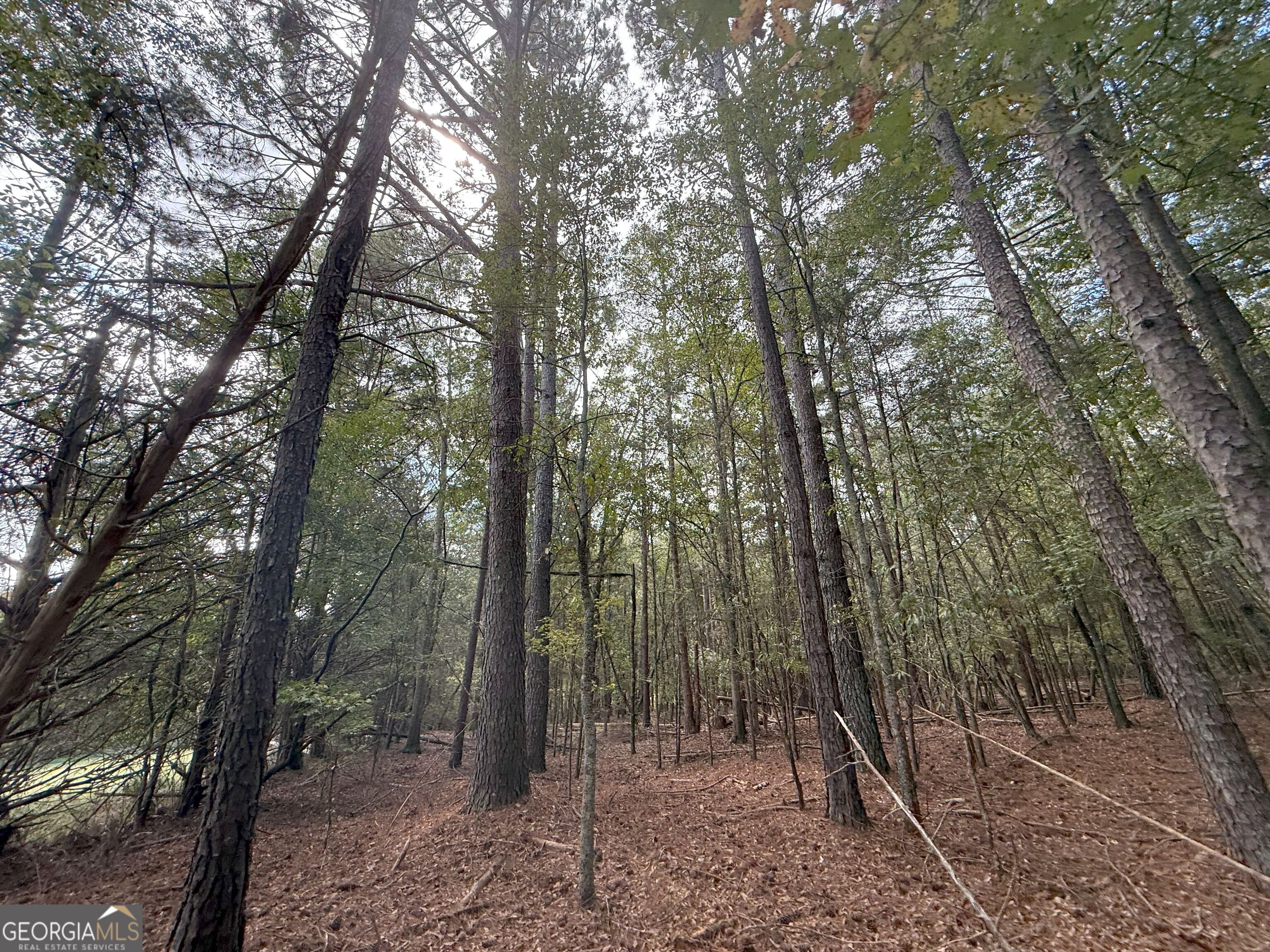 9992 Jefferson River Road Athens, GA 30607 - Photo 10 of 24