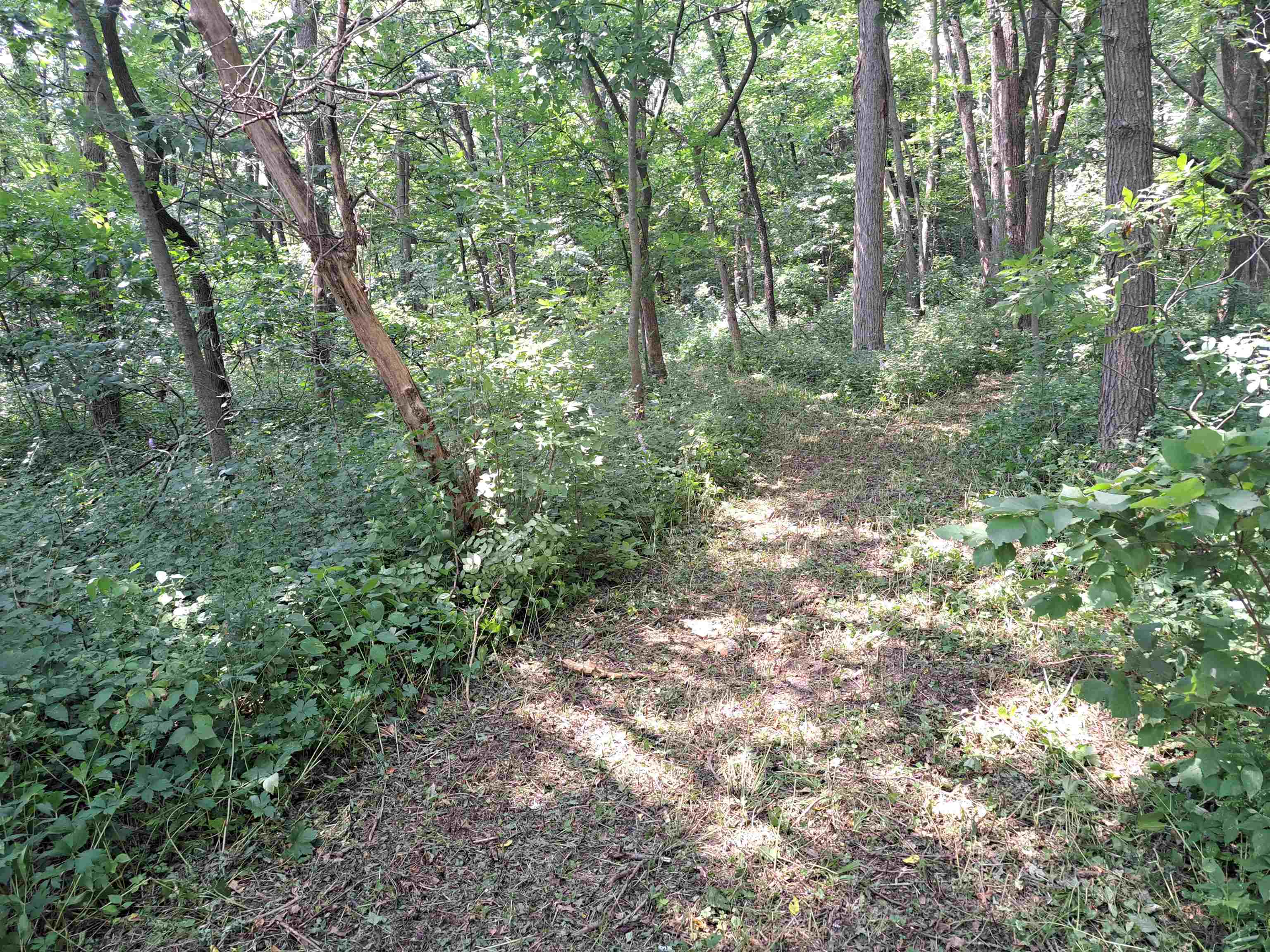 12 Saddleback Road Galena, IL 61036 - Photo 12 of 14