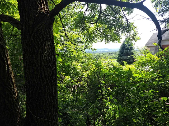 $35,000 | 12 Saddleback Road, Galena, IL 61036