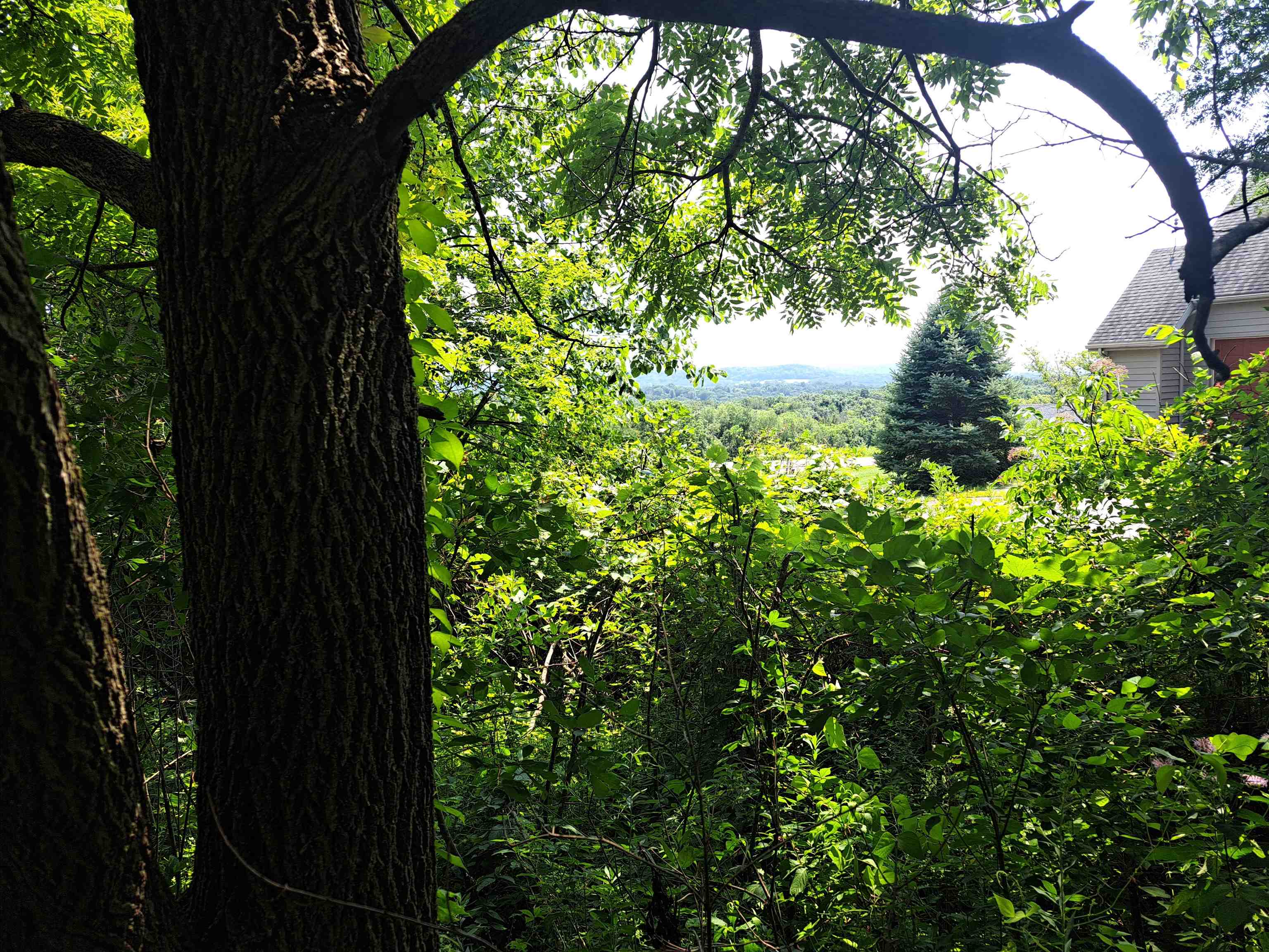 12 Saddleback Road Galena, IL 61036 - Photo 10 of 14