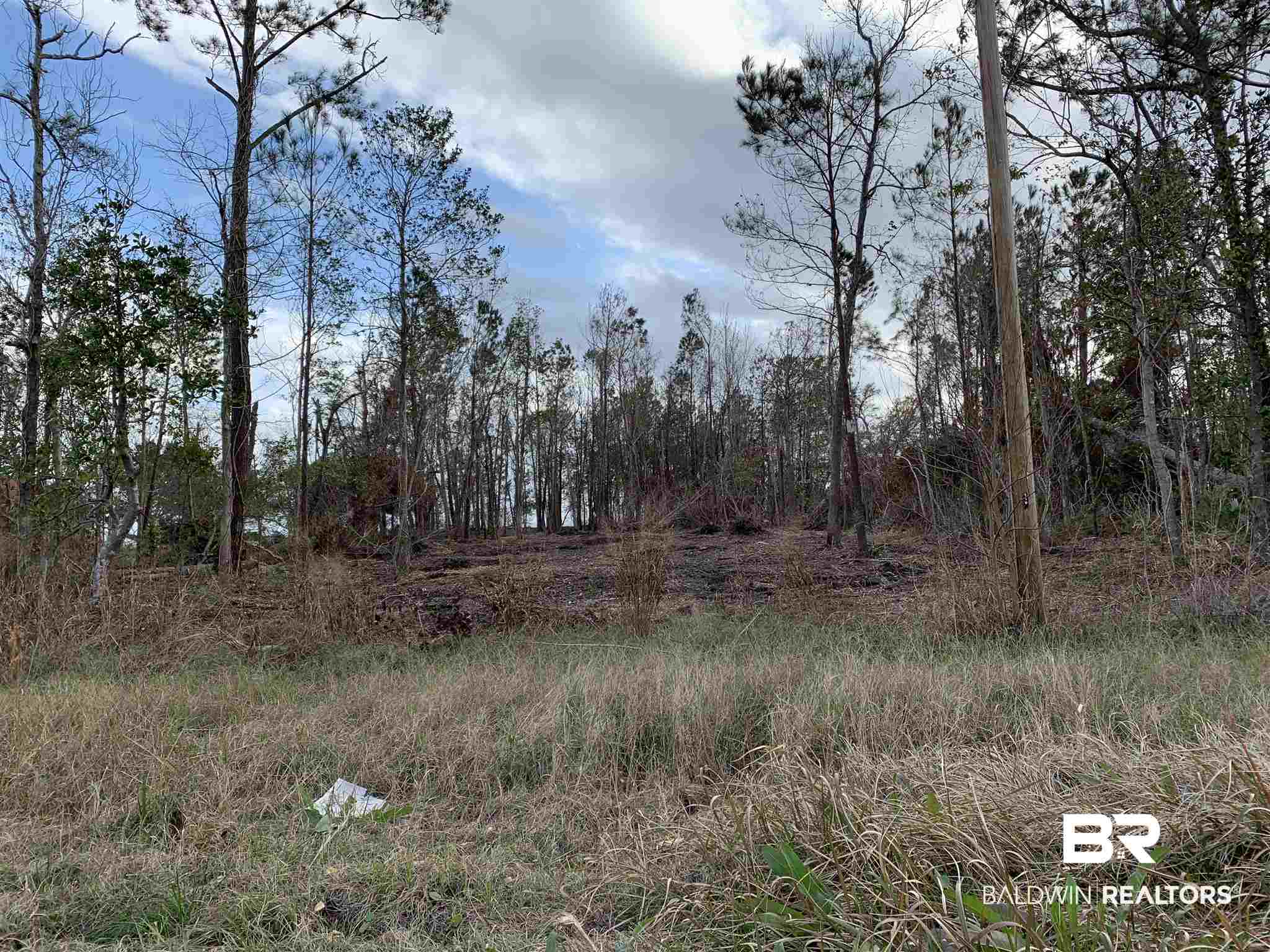10501 County Road 1 Fairhope, AL 36532 - Photo 12 of 33