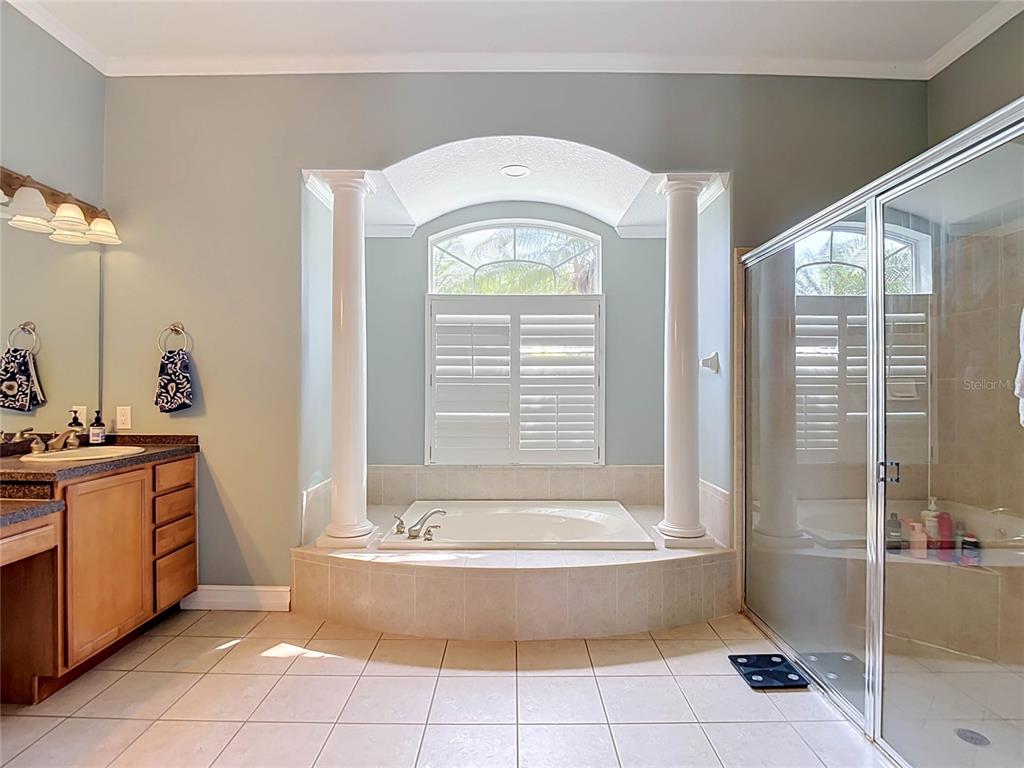 10512 Gooseberry Court Trinity, FL 34655 - Photo 20 of 36