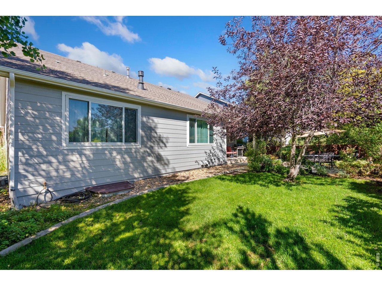 5574 Quarry Street Timnath, CO 80547 - Photo 32 of 43 a view of a house with backyard and sitting area