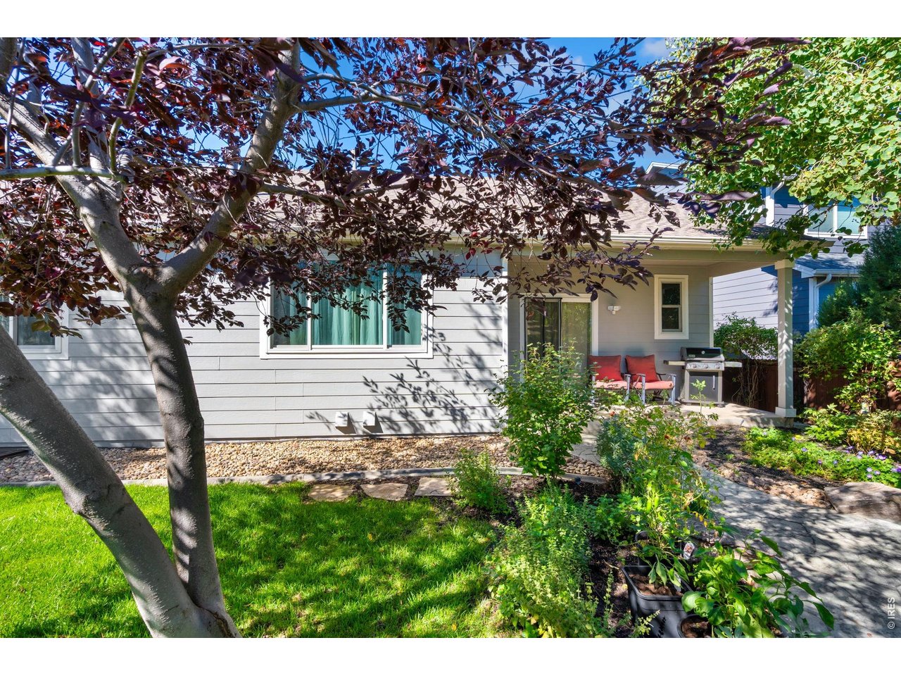 5574 Quarry Street Timnath, CO 80547 - Photo 34 of 43 a view of house with a tree in front of it