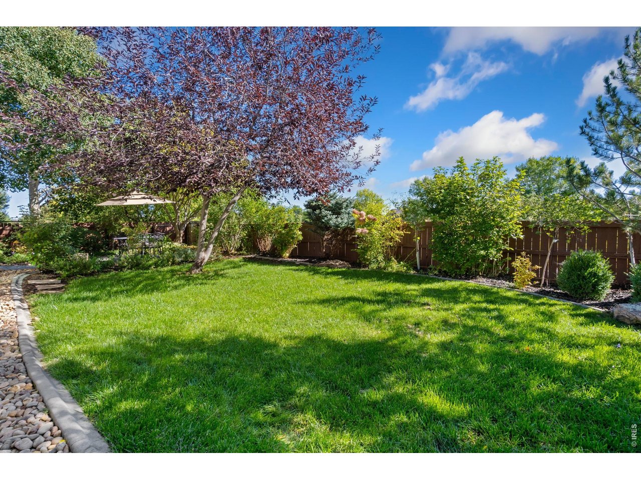 5574 Quarry Street Timnath, CO 80547 - Photo 36 of 43 a view of a yard with a tree