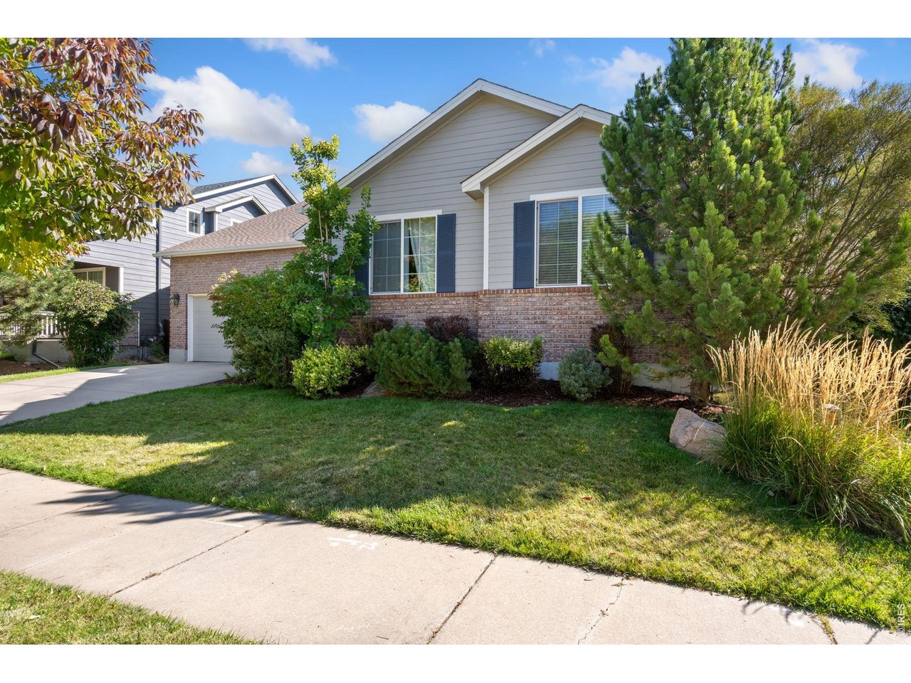 5574 Quarry Street Timnath, CO 80547 - Photo 43 of 43 a view of a yard in front of a house