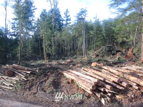 38 North Camano Ridge Road Camano Island, WA 98282 - Photo 14 of 16 Gallery Image 14