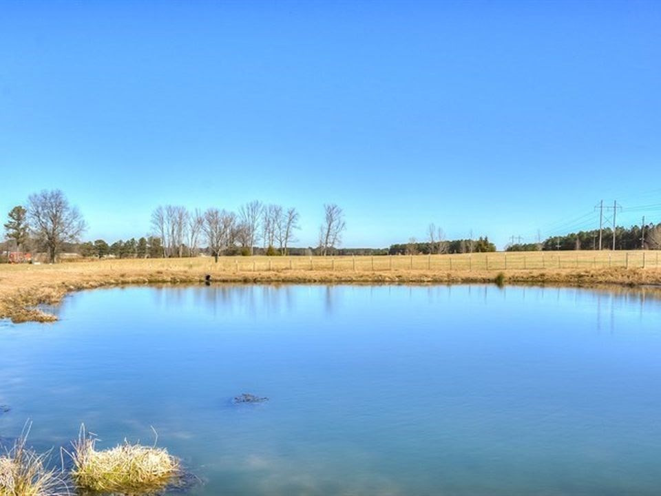 149 Lanier Road Johnston, SC 29832 - Photo 4 of 48