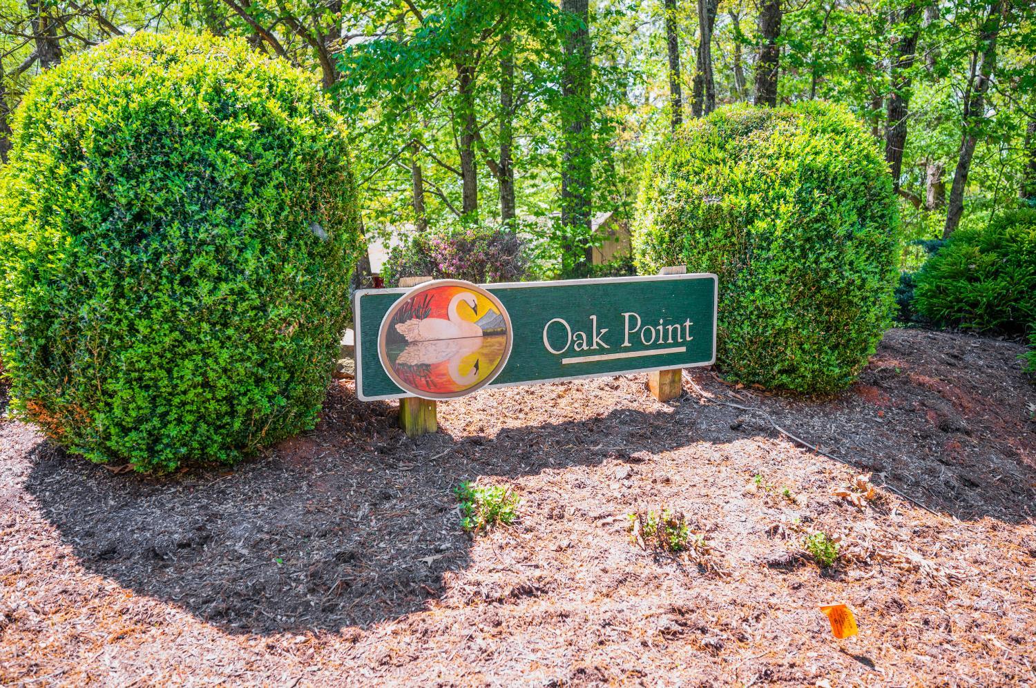 424 Oak Point Road Forest, VA 24551 - Photo 42 of 52