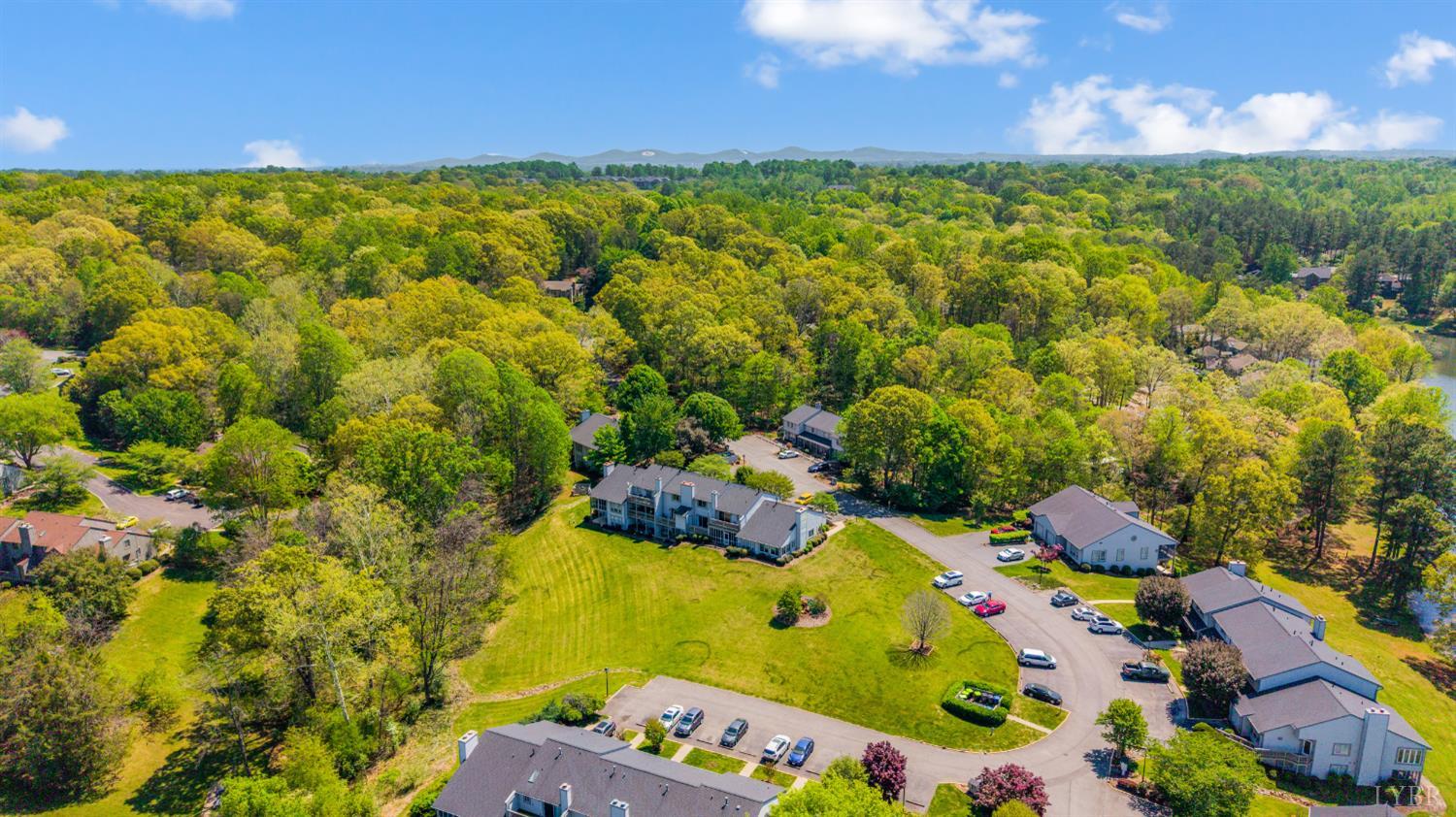 424 Oak Point Road Forest, VA 24551 - Photo 48 of 52