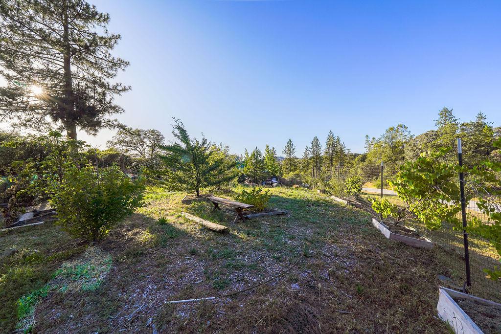 10209 Ranch Road Rough and Ready, CA 95975 - Photo 36 of 62
