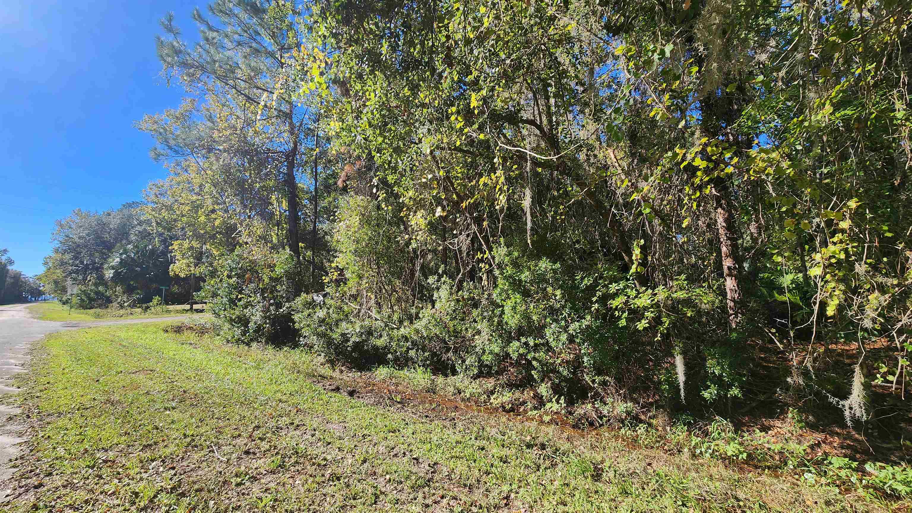 Janet Avenue Georgetown, FL 32139 - Photo 1 of 8 Gallery Image 1