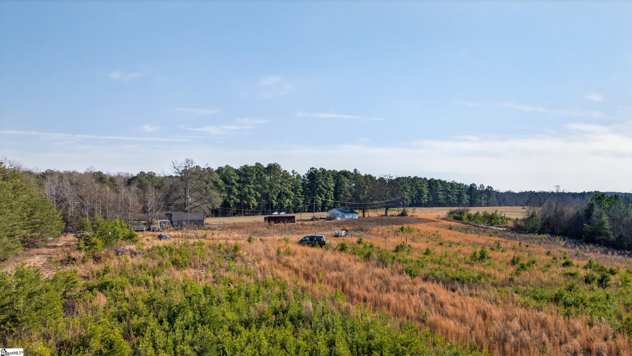 1520 Spencer Creek Road Campobello, SC 29322 - Photo 7 of 17