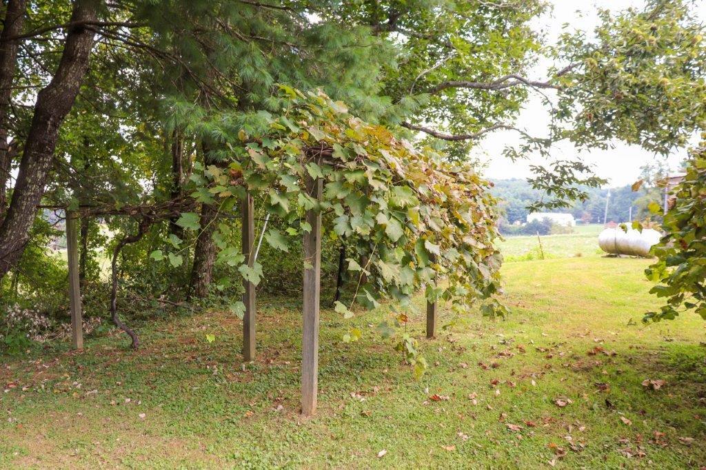 197 Silverleaf Road Southeast Floyd, VA 24091 - Photo 25 of 27 a view of a garden