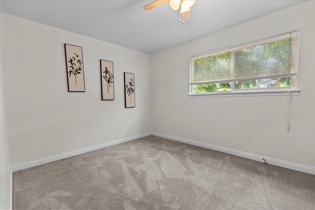 a backyard of a house with plants and large tree