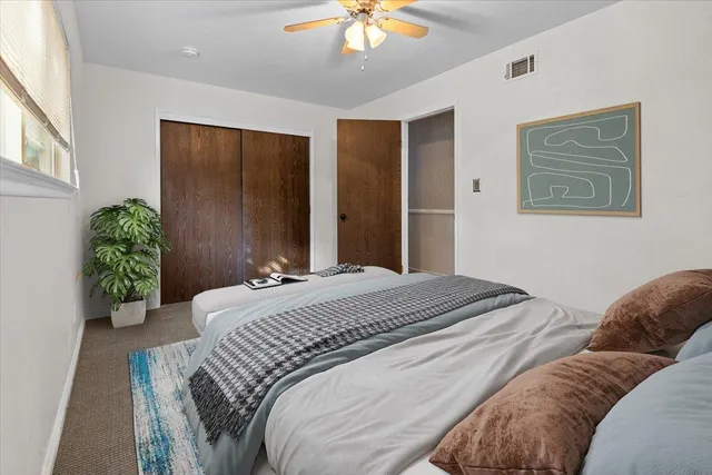 a view of a park with large trees