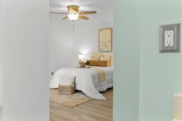 a view of a garden with a fountain