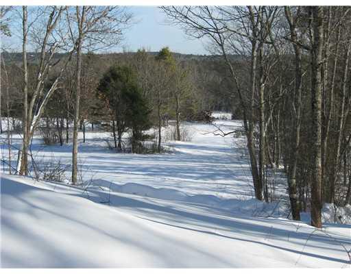 238 Golden Ridge Road Alna, ME 04535 - Photo 17 of 22 View. The wooded land delights.