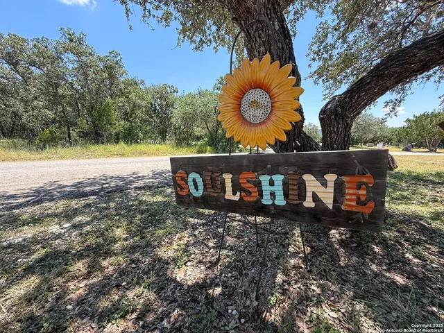 a view of a wooden house with a large tree in the background