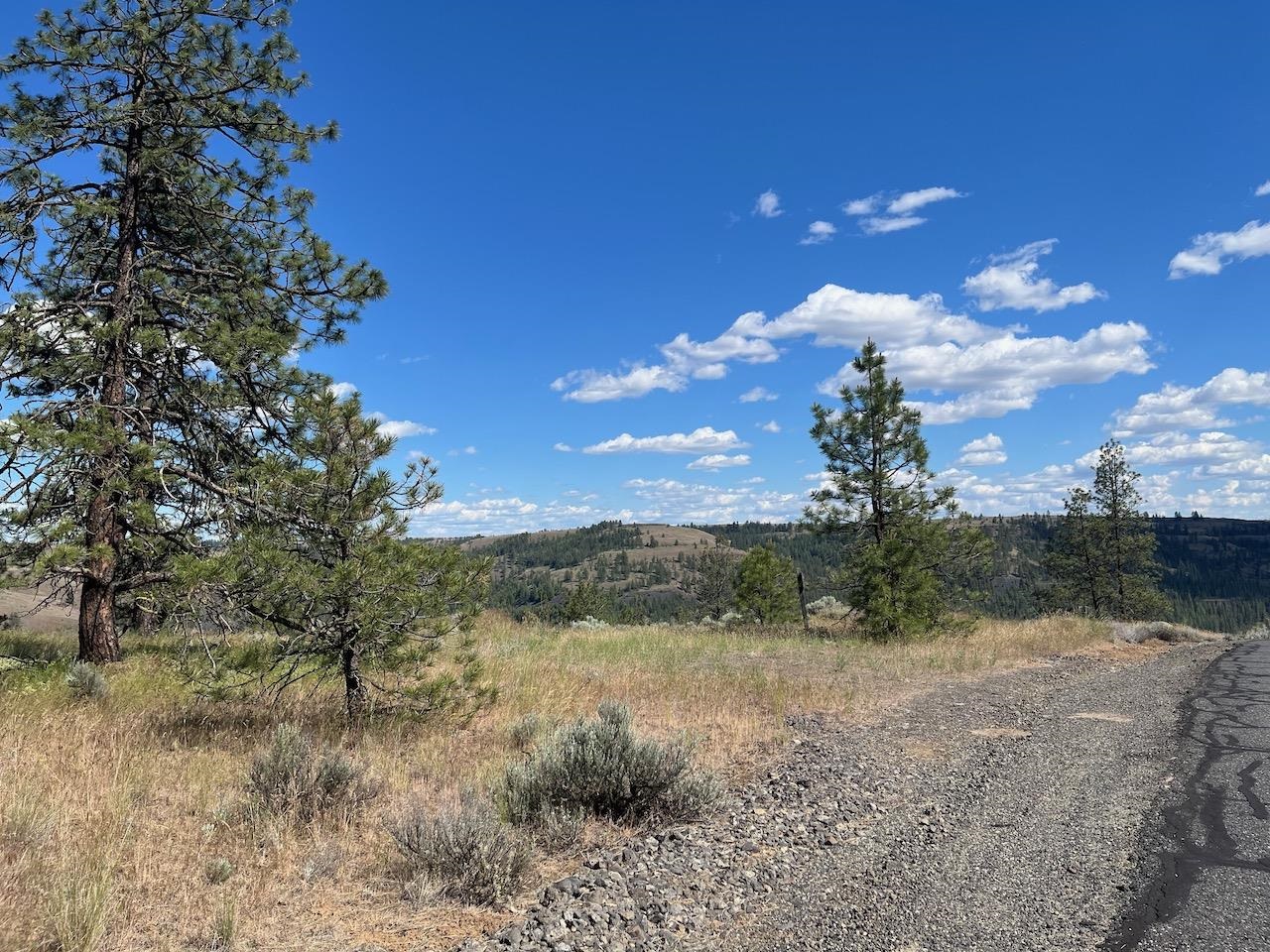 31805 Ruffed Grouse Drive Davenport, WA 99122 - Photo 2 of 23