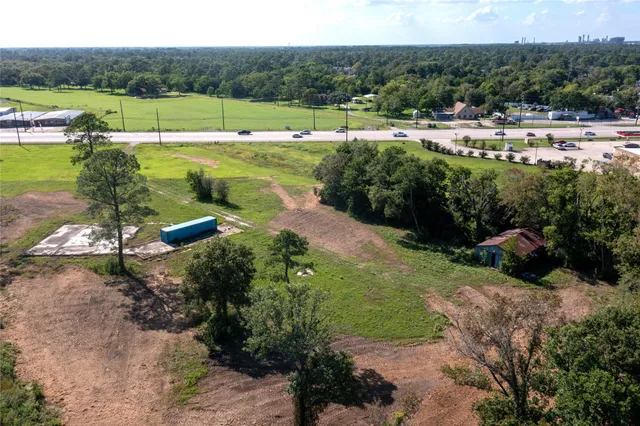 a view of a park with large trees