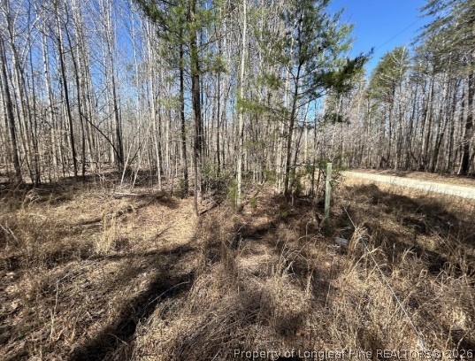 Pointe Mayo Drive Roxboro, NC 27574 - Photo 22 of 24 a view of forest